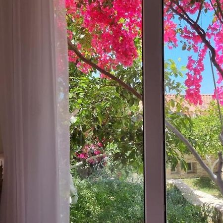 Vila 15 Bougainville Sarande Ngoại thất bức ảnh